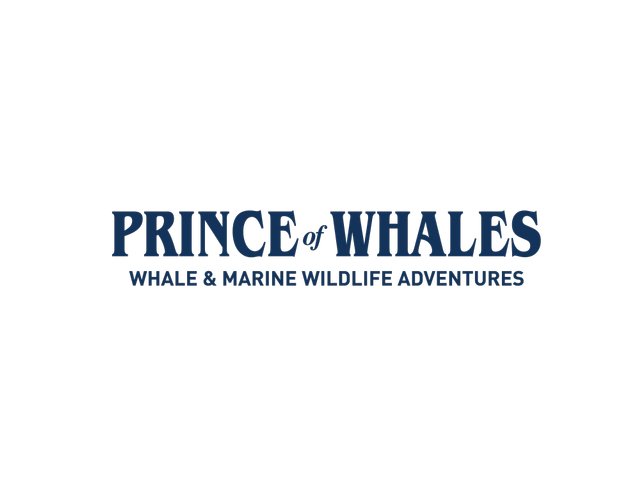 Prince of Whales Whale & Marine Wildlife Adventures